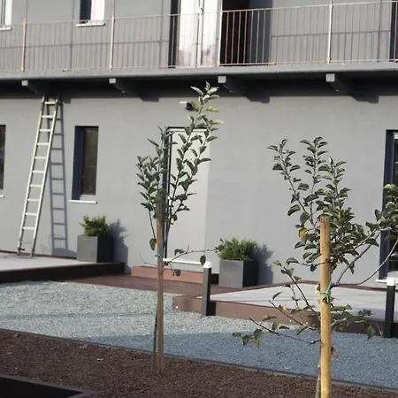 Binario 91 阿维里亚那