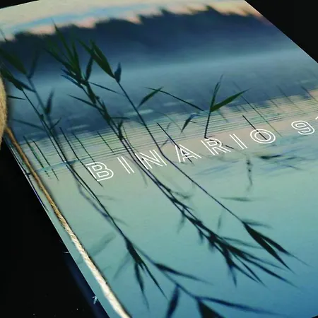 Binario 91 阿维里亚那