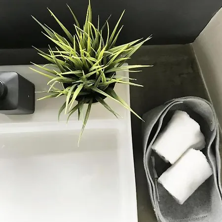 Binario 91 阿维里亚那